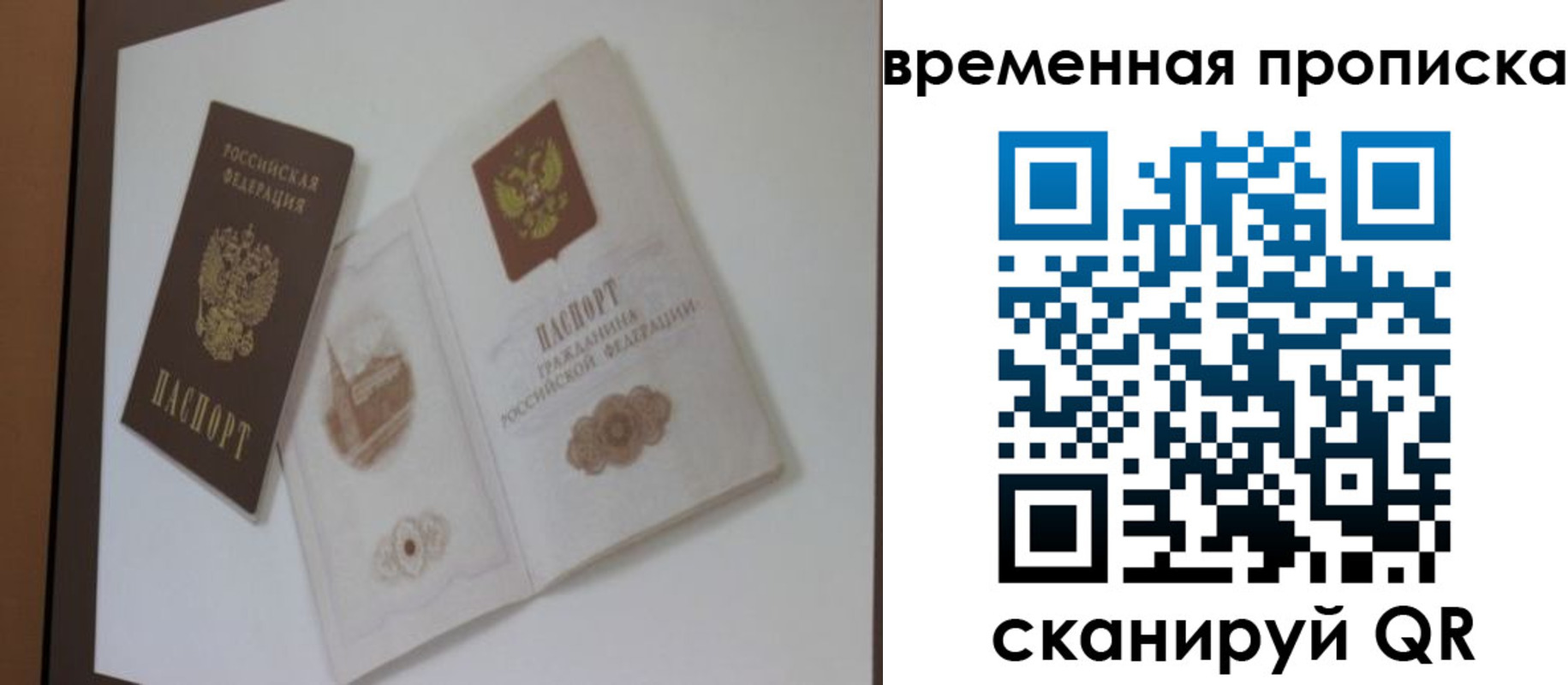 прописка 2025 в Дубне